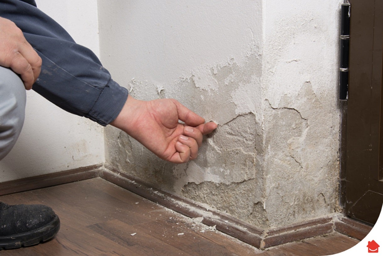 How to treat damp walls before painting | HomeServe