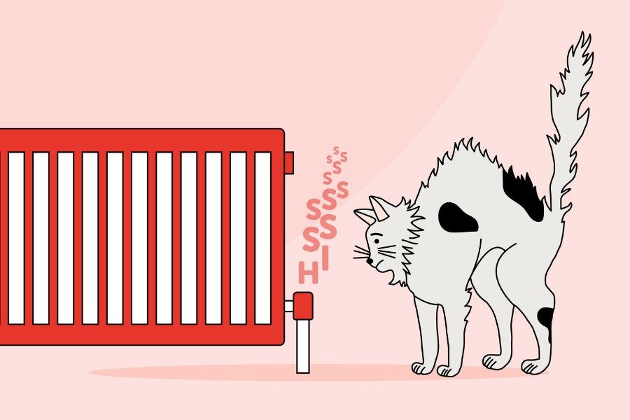 Graphic of a radiator making a hissing noise which scares a cat 